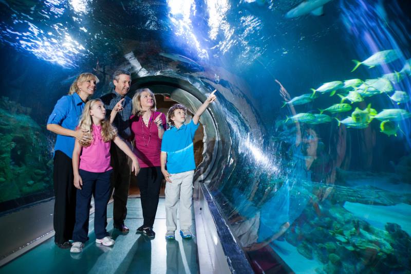 sea life aquarium Orlando Florida - Orlando vacation home rentals near ...